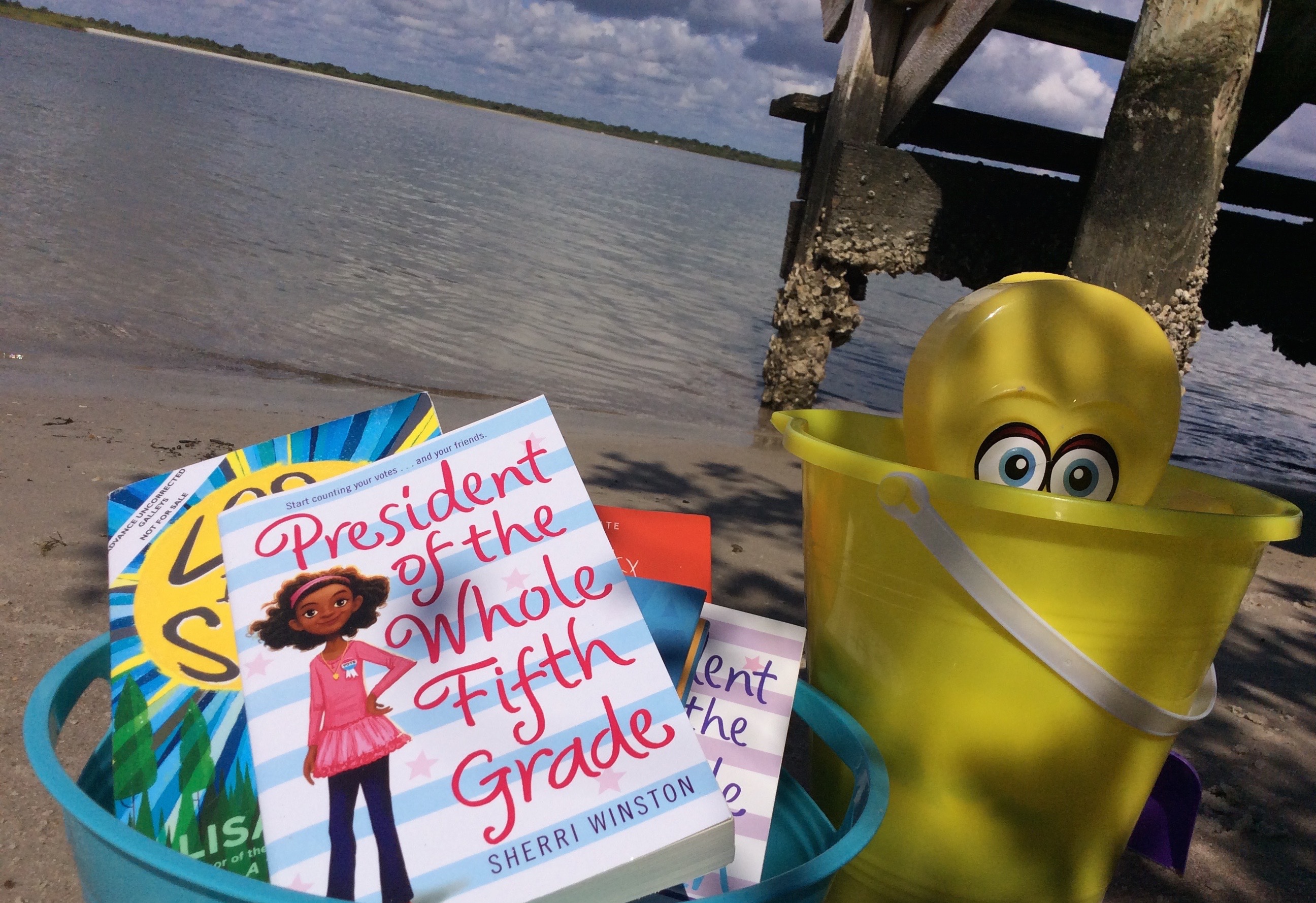 A day at the beach is always better with a good book!
